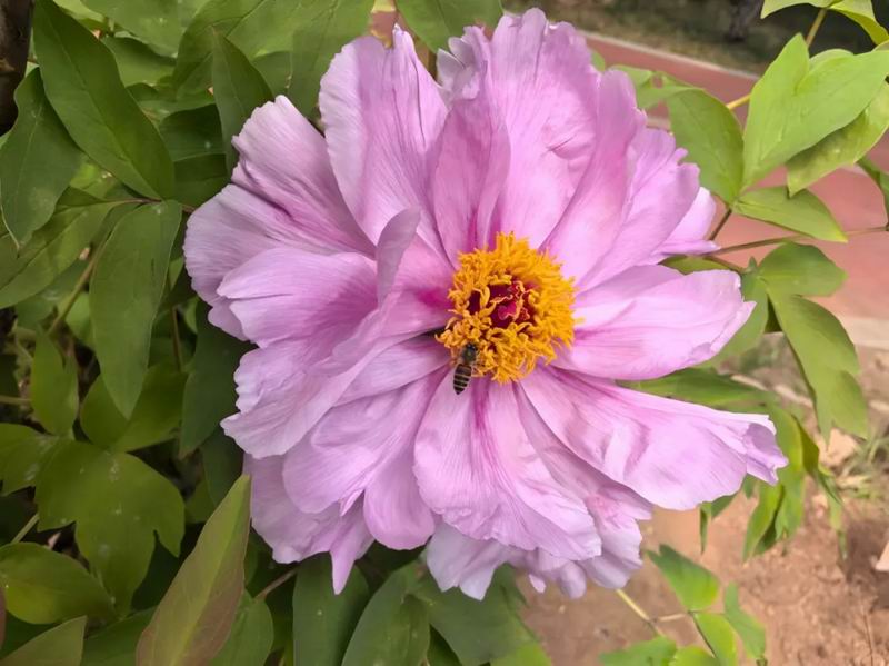 640_wx_fmt=jpeg&from=appmsg&tp=webp&wxfrom=5&wx_lazy=1&wx_co=1 (3)